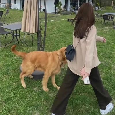 吧女斯黛拉