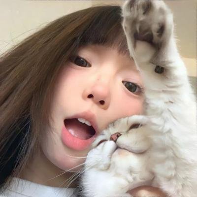 神台猫